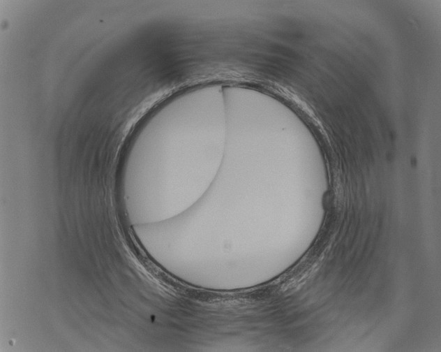 X0000073750629200608241348