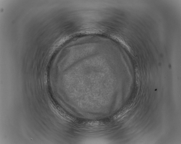 X0000073750631200608241348