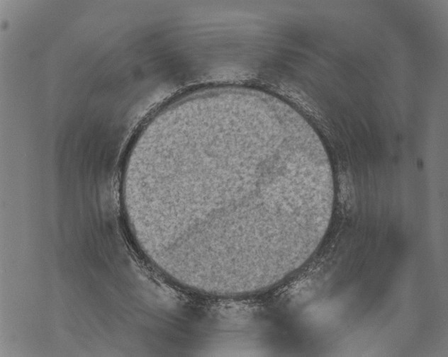 X0000073750632200608241348