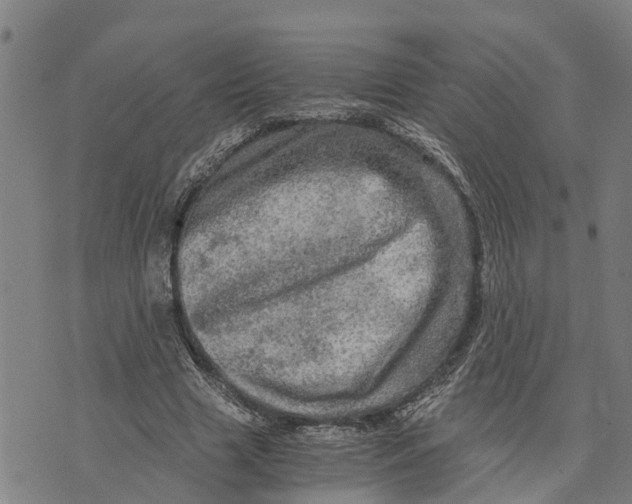 X0000073750633200608241348