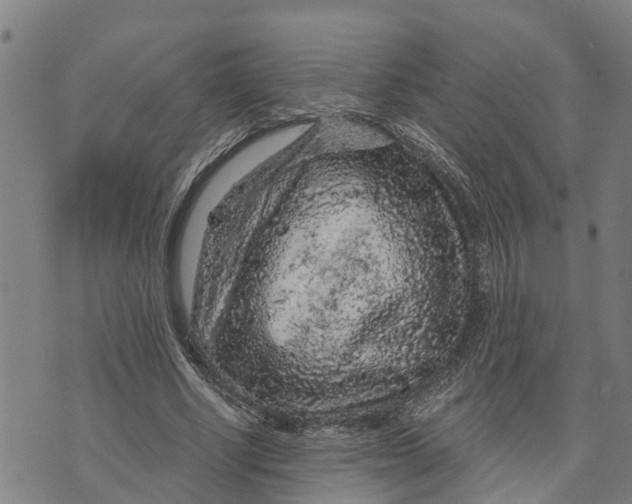 X0000073750634200608241348