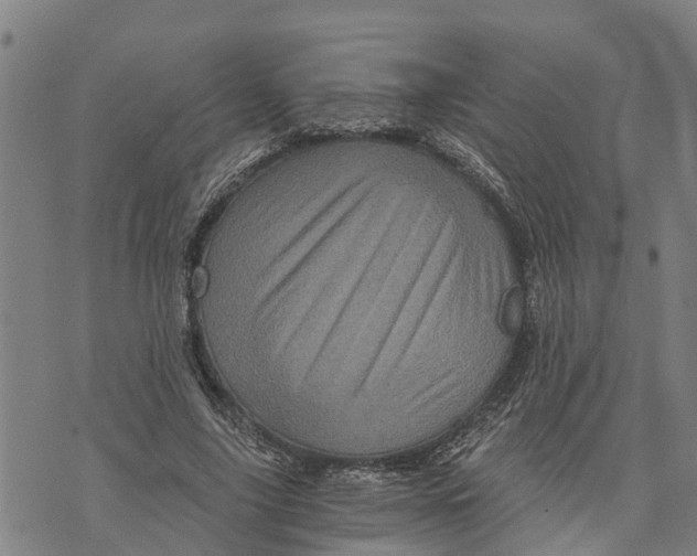 X0000073750635200608241348