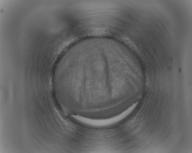 X0000073750636200608241348