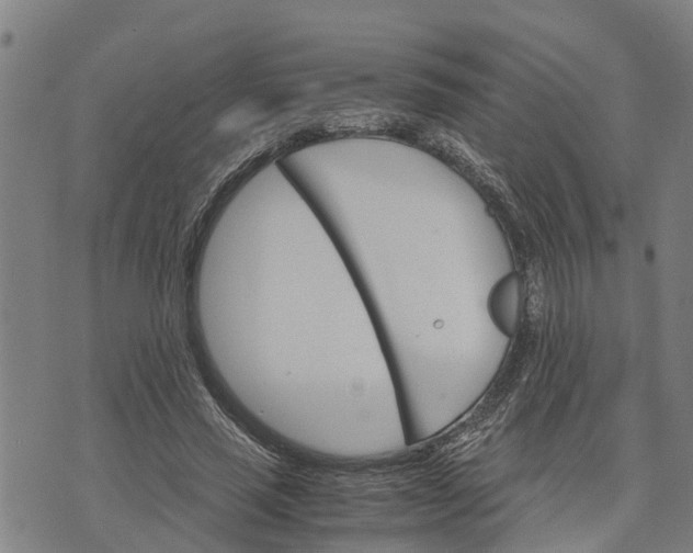 X0000073750637200608241348