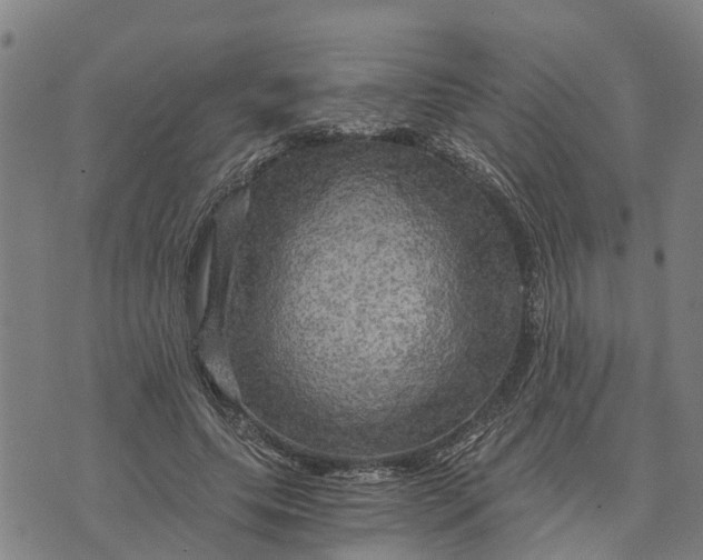 X0000073750639200608241348