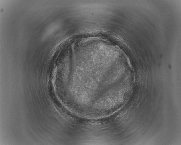 X0000073750640200608241348