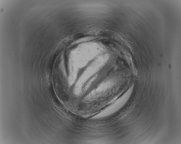 X0000073750641200608241348