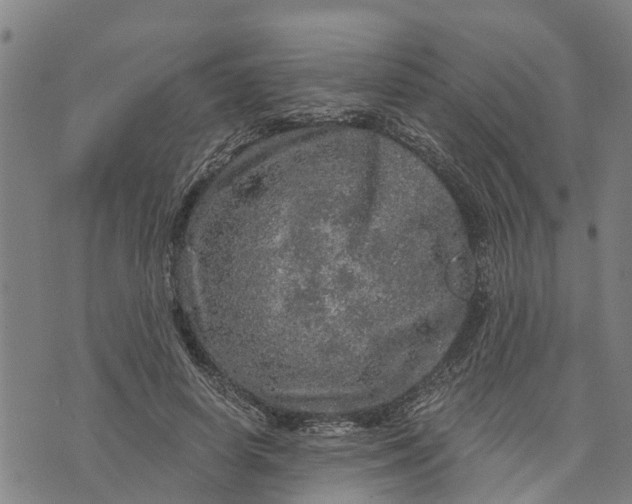 X0000073750642200608241348