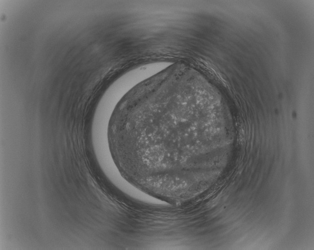 X0000073750643200608241348