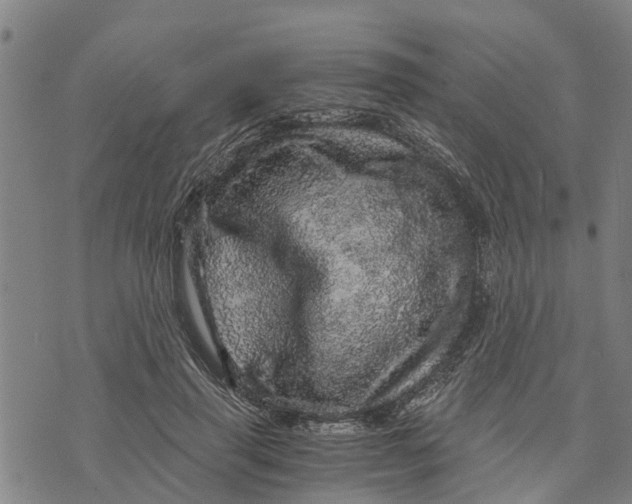 X0000073750645200608241348