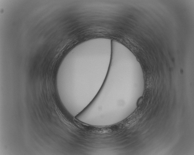 X0000073750646200608241348