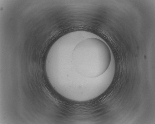 X0000073750647200608241348