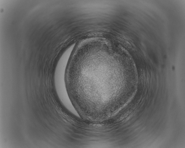 X0000073750649200608241348