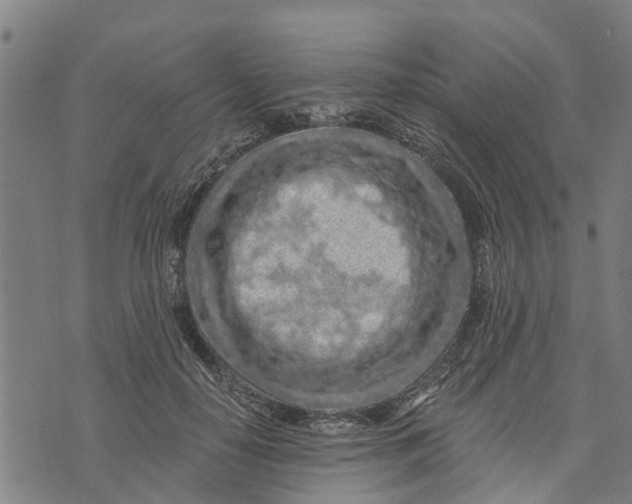 X0000073750650200608241348