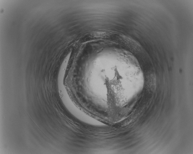 X0000073750653200608241348