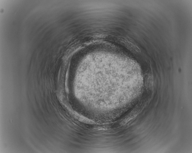 X0000073750655200608241348