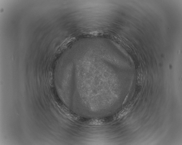 X0000073750656200608241348