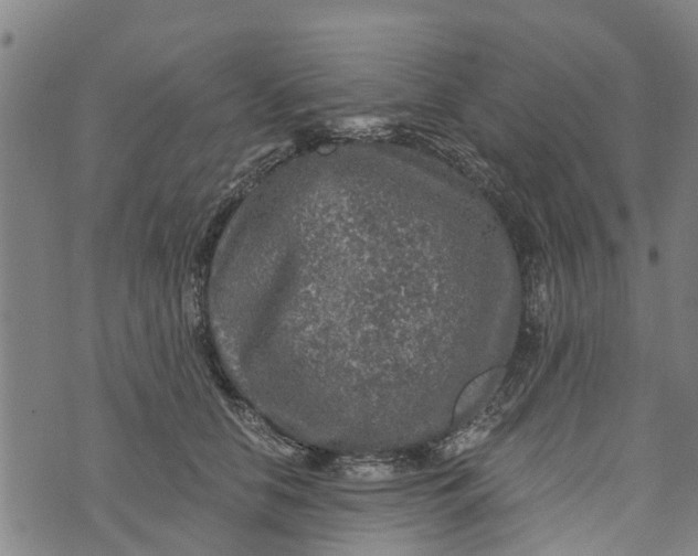 X0000073750658200608241348