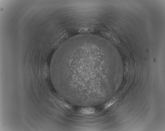 X0000073750659200608241348