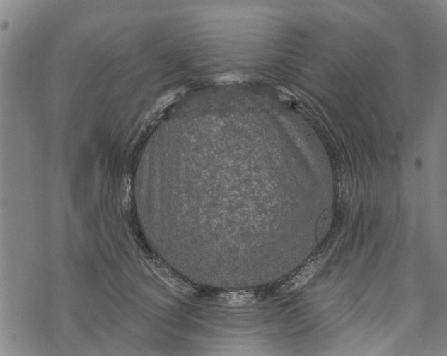 X0000073750660200608241348