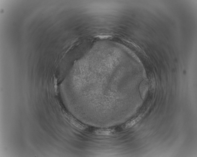 X0000073750661200608241348