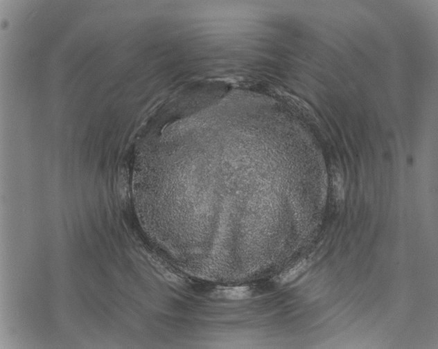 X0000073750665200608241348