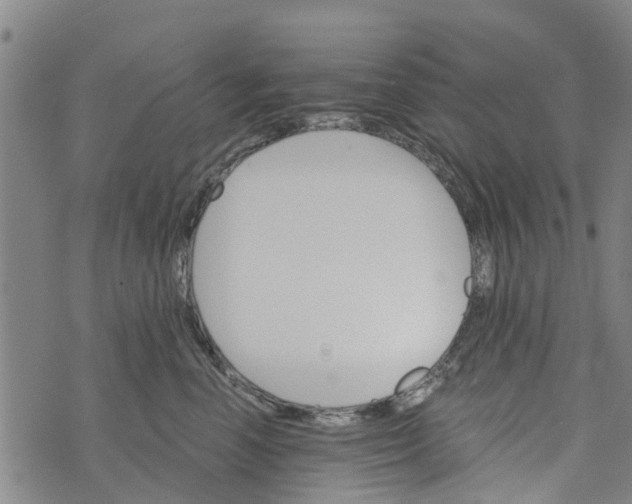 X0000073750666200608241348