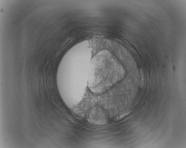 X0000073750667200608241348