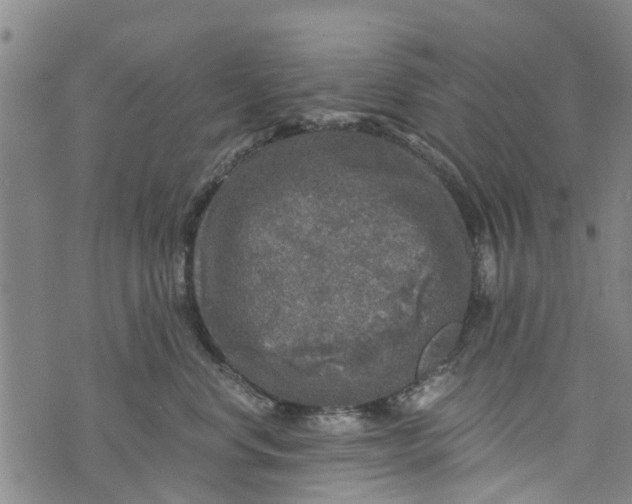 X0000073750668200608241348