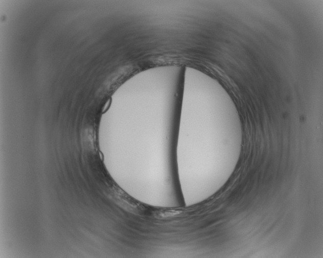 X0000073750669200608241348