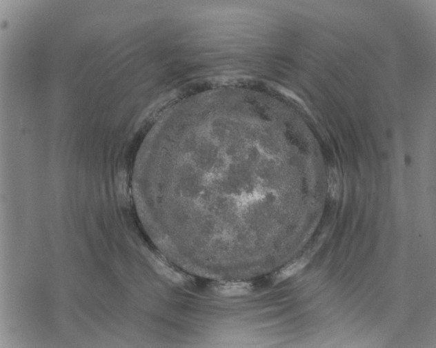 X0000073750670200608241348