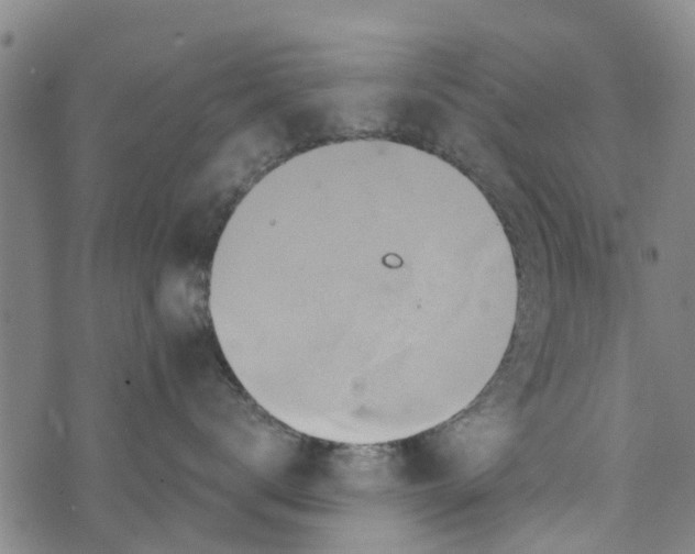 X0000073750672200608241348