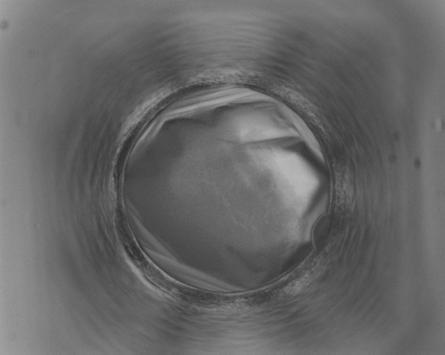 X0000073750674200608241348