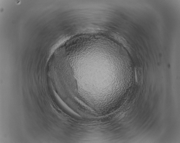 X0000073750675200608241348