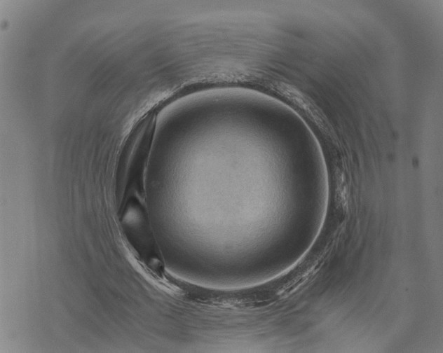 X0000073750677200608241348