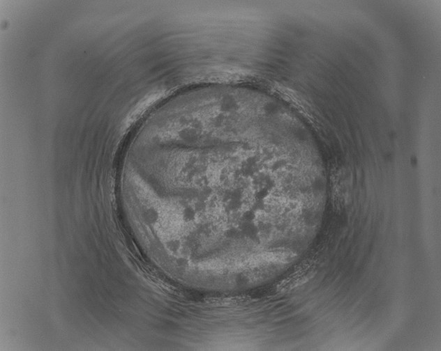 X0000073750679200608241347