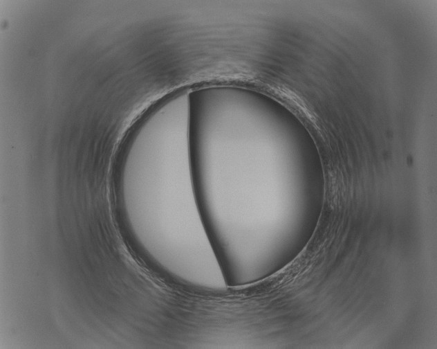 X0000073750680200608241347