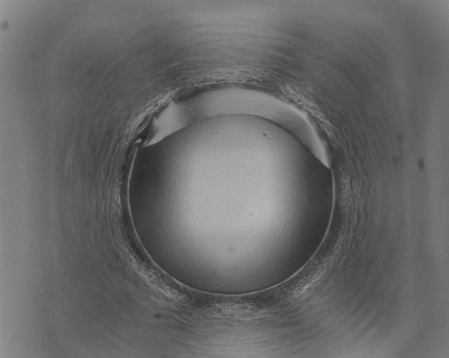 X0000073750681200608241347