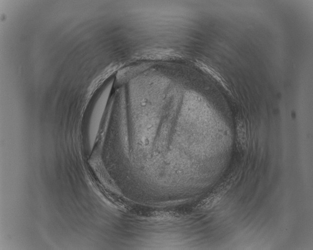 X0000073750682200608241347