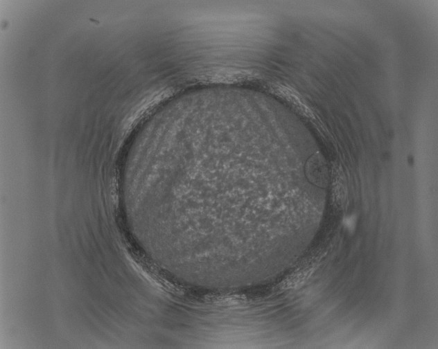 X0000073750683200608241347