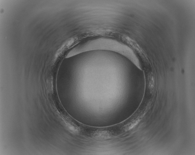 X0000073750685200608241347