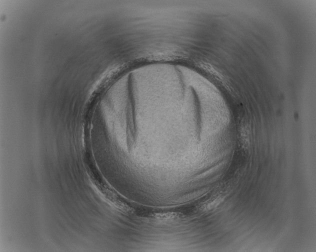 X0000073750686200608241347