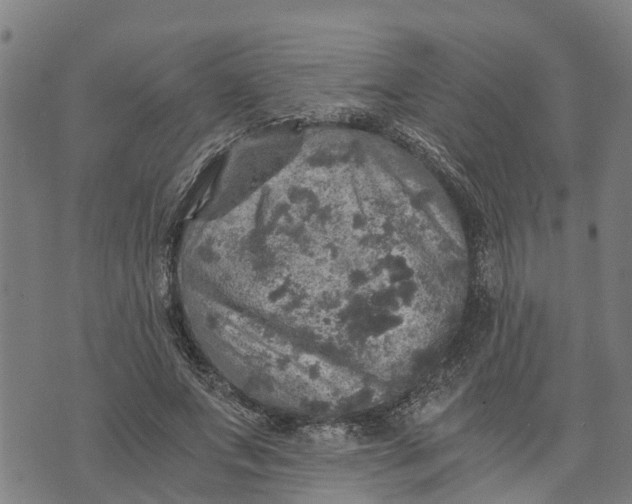 X0000073750687200608241347