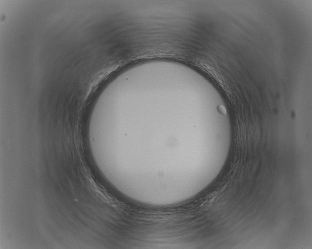 X0000073750688200608241347