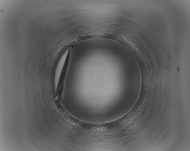 X0000073750689200608241347