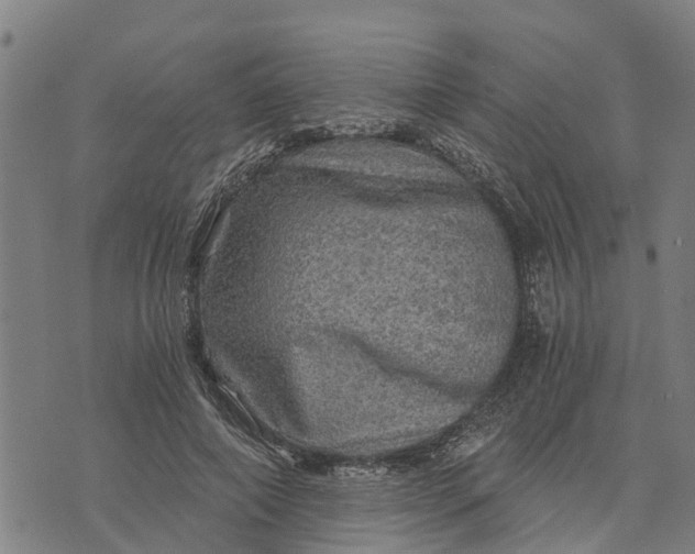 X0000073750690200608241347