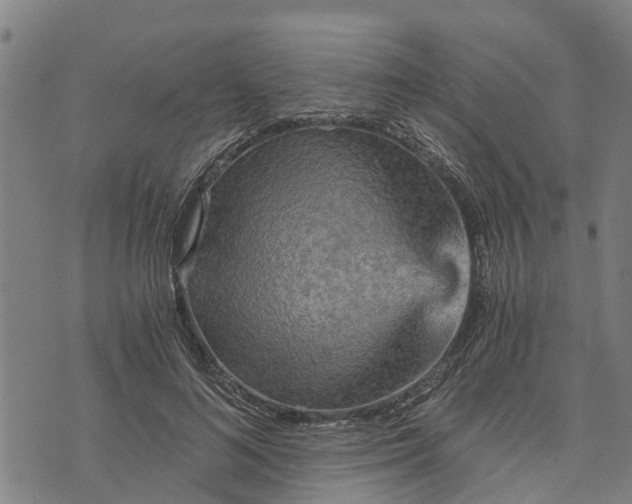 X0000073750692200608241347