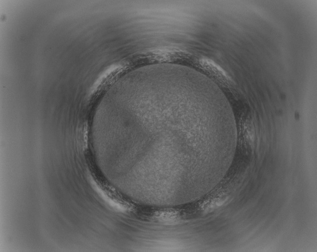 X0000073750694200608241347