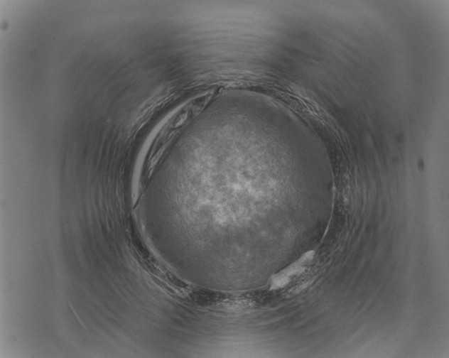 X0000073750696200608241347