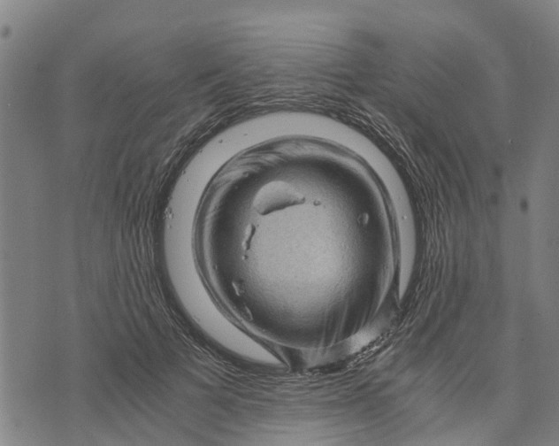 X0000073750697200608241347